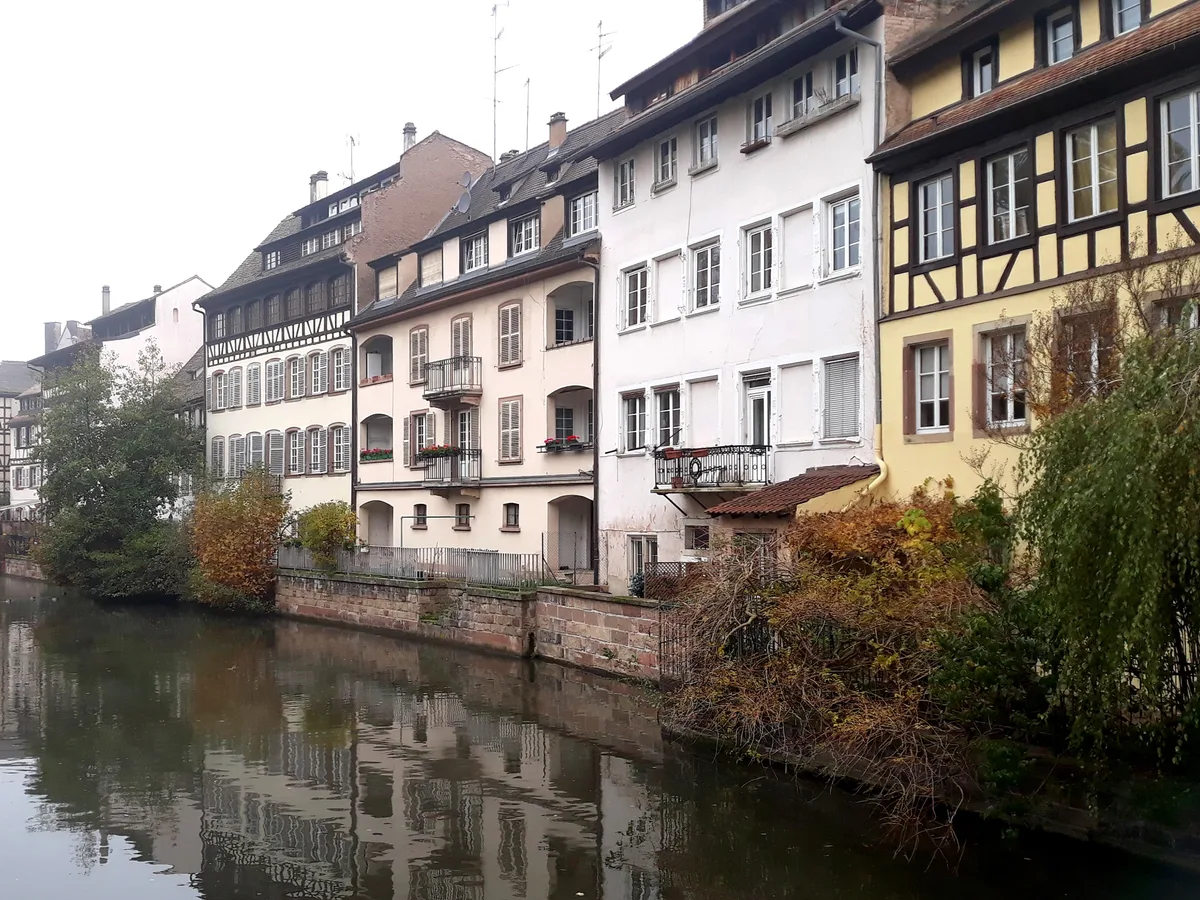 Half-timbered and plaster houses lined along a calm Ill canal in Petite France with autumn foliage.