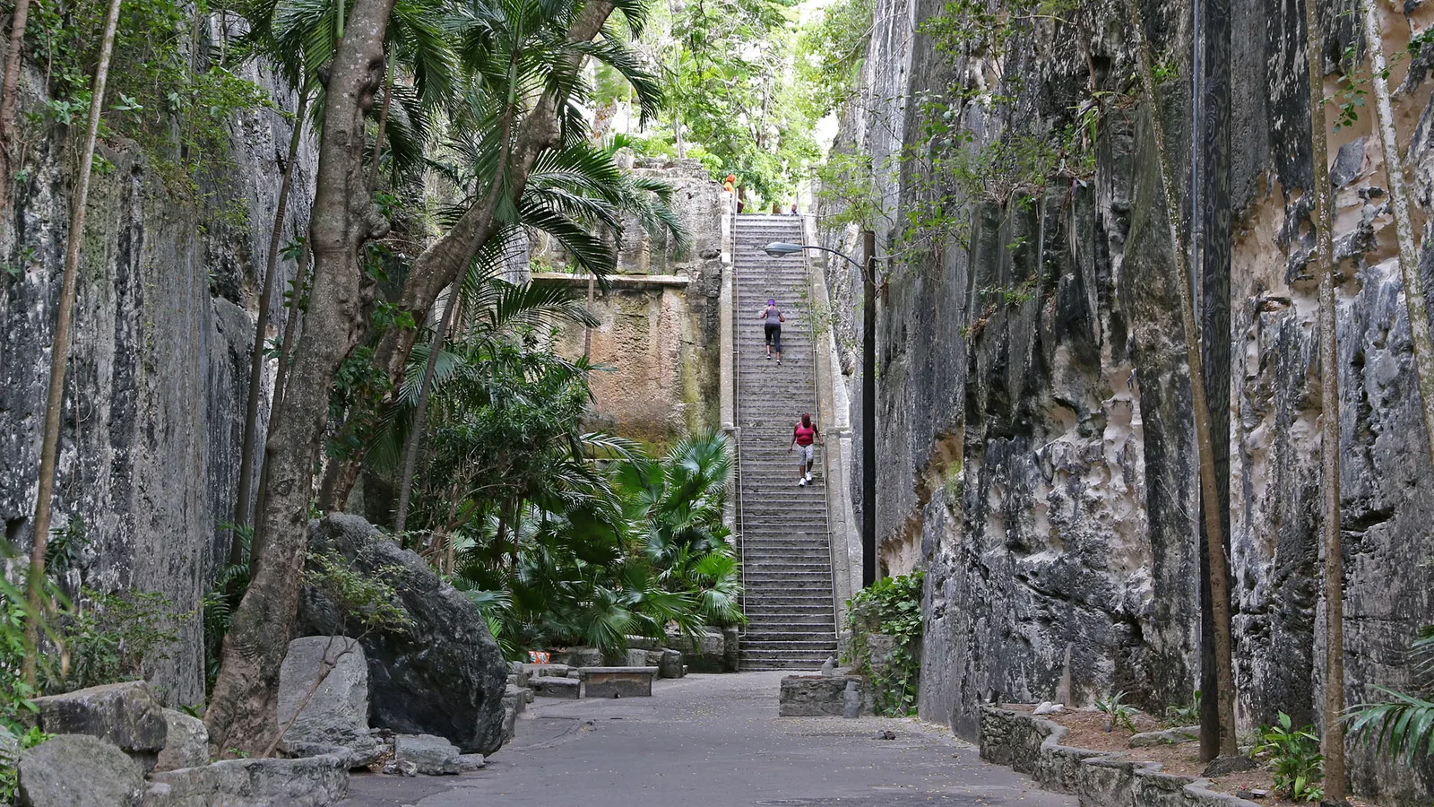 A stone staircase carved between tall limestone walls and tropical foliage at the Queen's Staircase in Nassau.