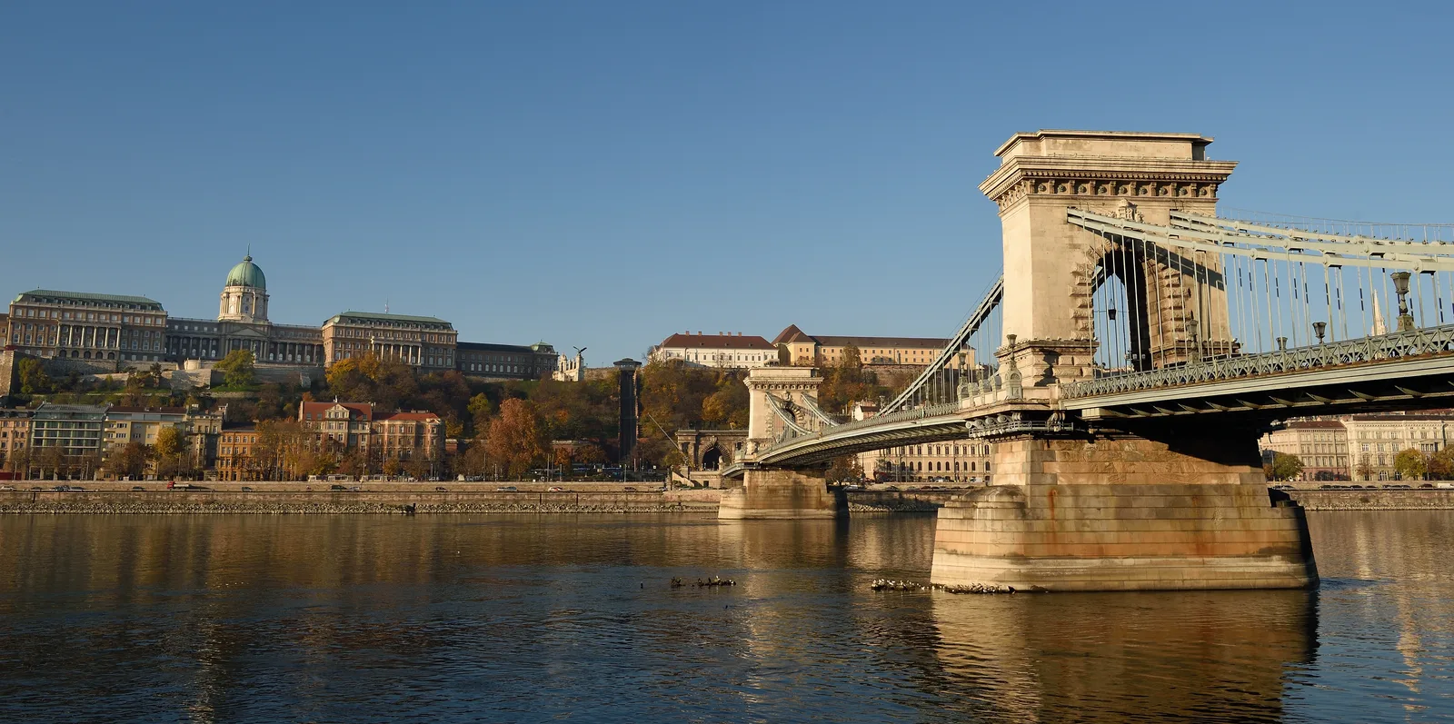 The Széchenyi Chain Bridge crossing the Danube with Buda Castle on the hill behind it under a blue sky.