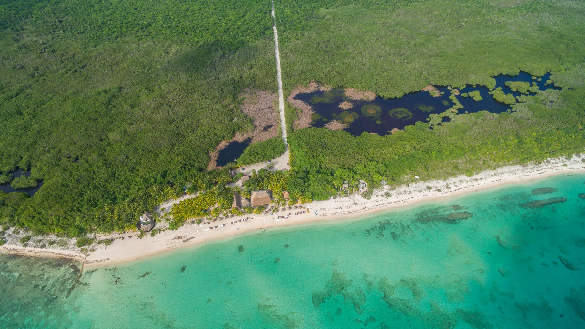 Aerial view of a long white sand beach with turquoise shallows and dense green forest behind it on Cozumel.