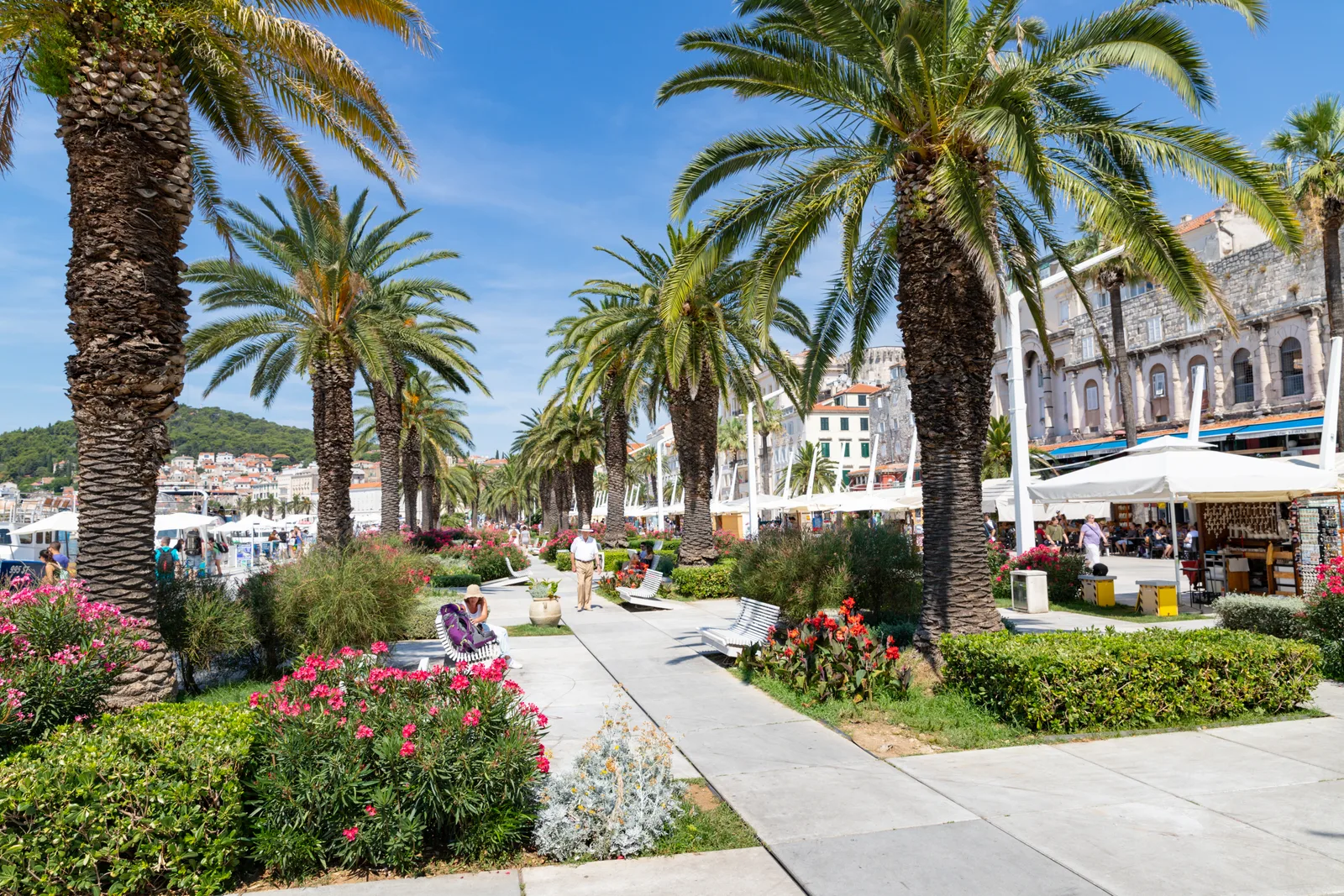 A palm-lined promenade on Split's Riva waterfront with flower beds, cafe umbrellas and the white palace-side arcades at the right.