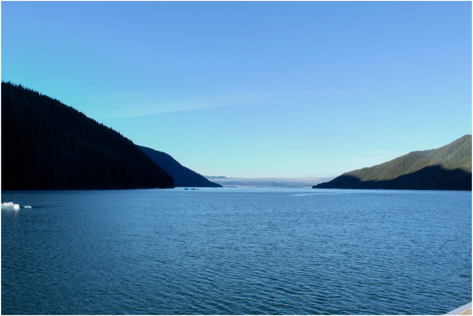 Tracy Arm fjord near Juneau, Alaska, with steep forested cliffs and calm water