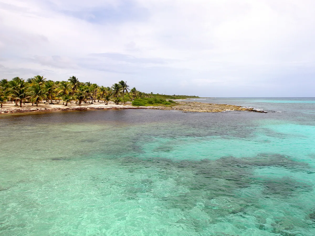 Clear turquoise shallows and a palm-lined shoreline seen from the Costa Maya cruise pier.