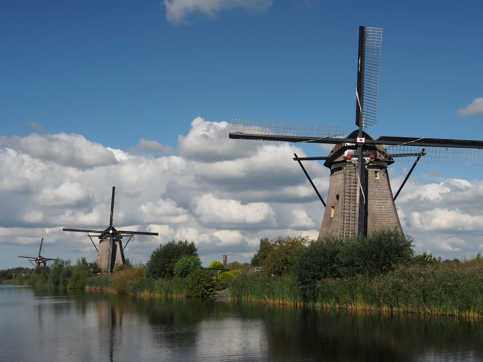 A windmill with dark blue sky above the reed-fringed canal at Kinderdijk and a second mill in the distance.