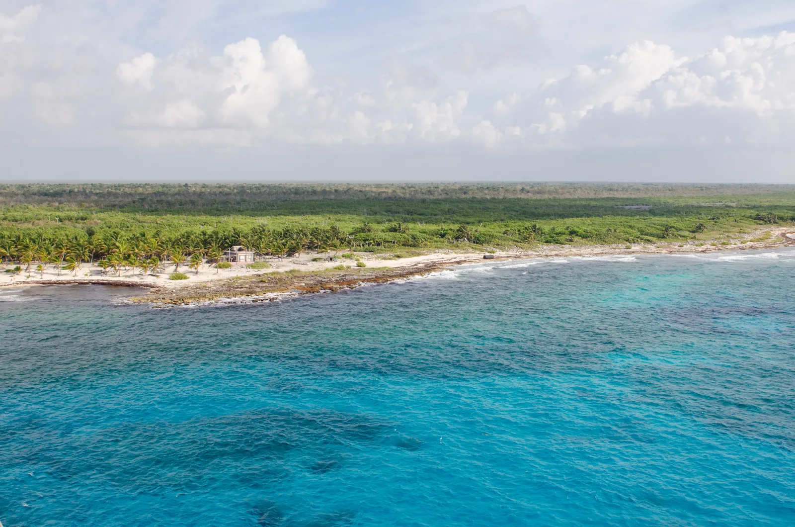 A view along Costa Maya's low green shoreline with a white beach and turquoise shallows over reef.
