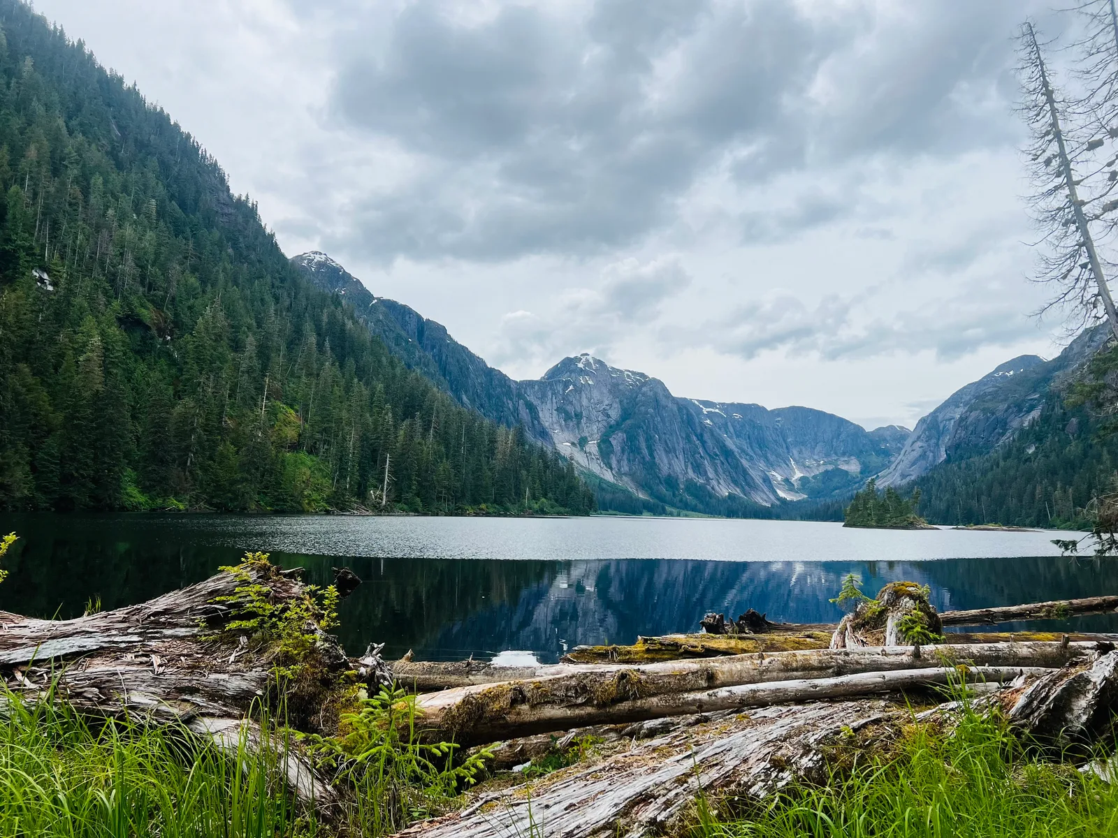A still mountain lake with forested slopes, snowy peaks and driftwood on the shore.
