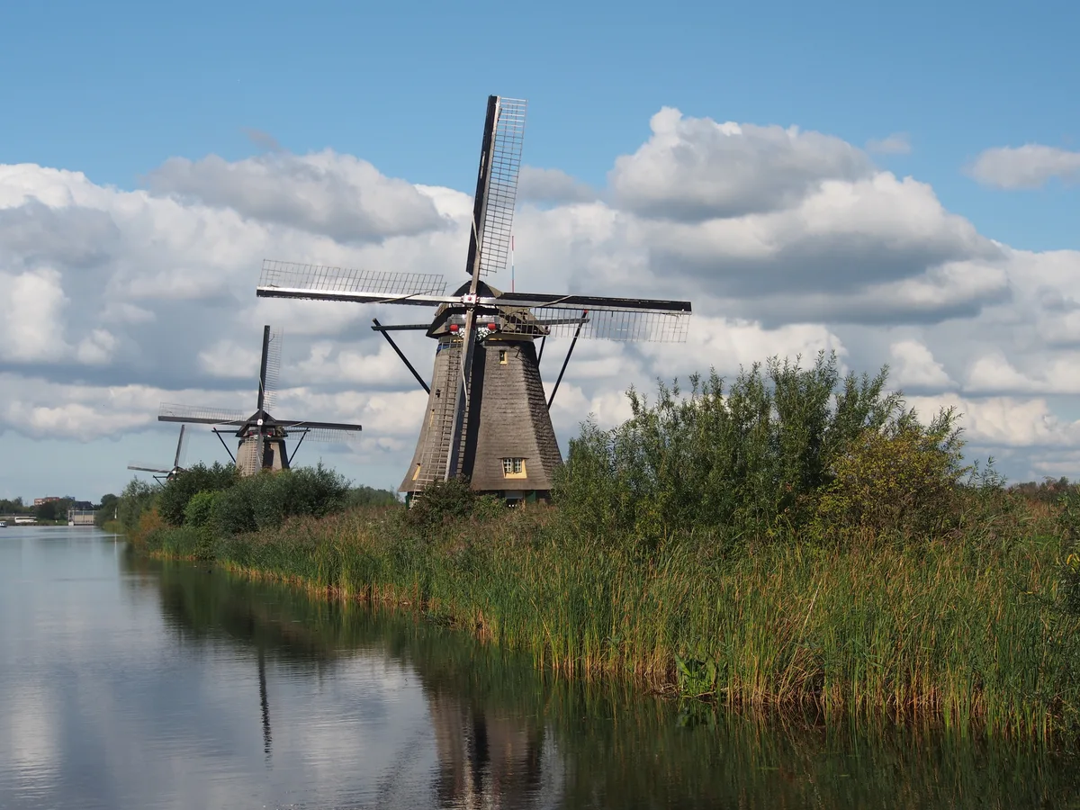 A windmill with its sails above a reed-lined canal bank at Kinderdijk under big clouds.