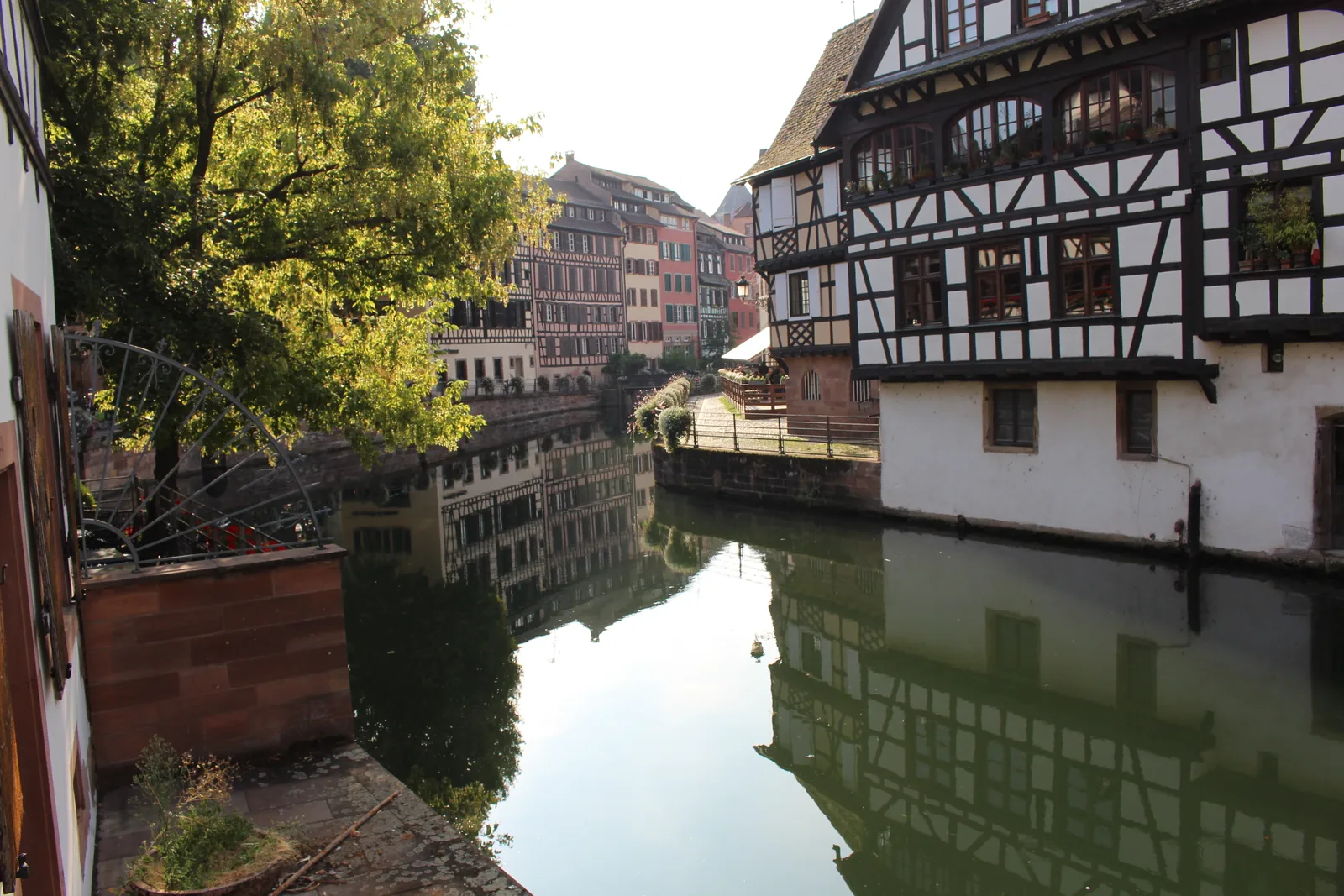 A canalised arm of the Ill in Strasbourg with half-timbered houses at the water's edge and trees overhead.