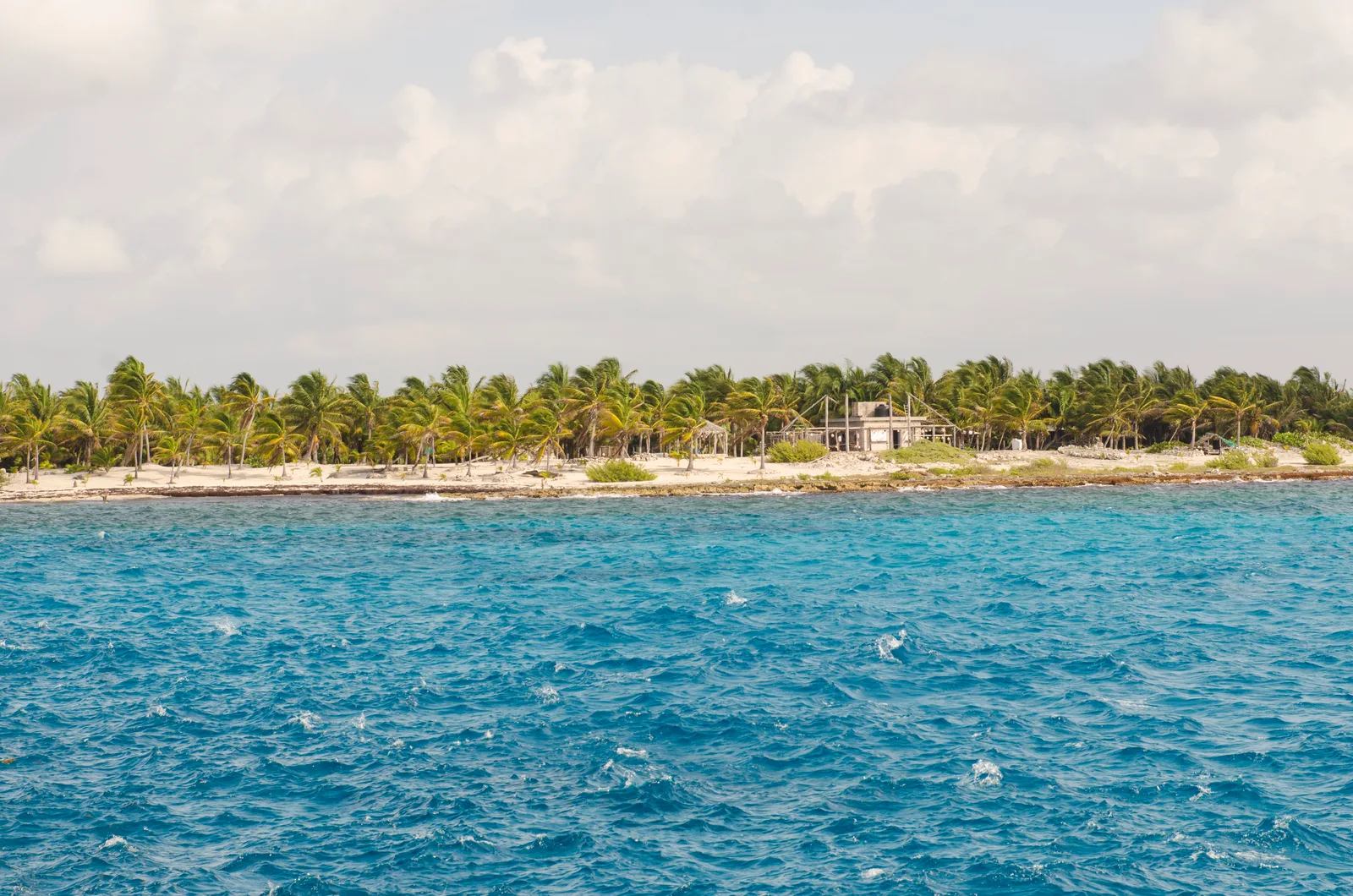 A line of coconut palms along a pale beach under a hazy sky with deep blue Caribbean water in the foreground.