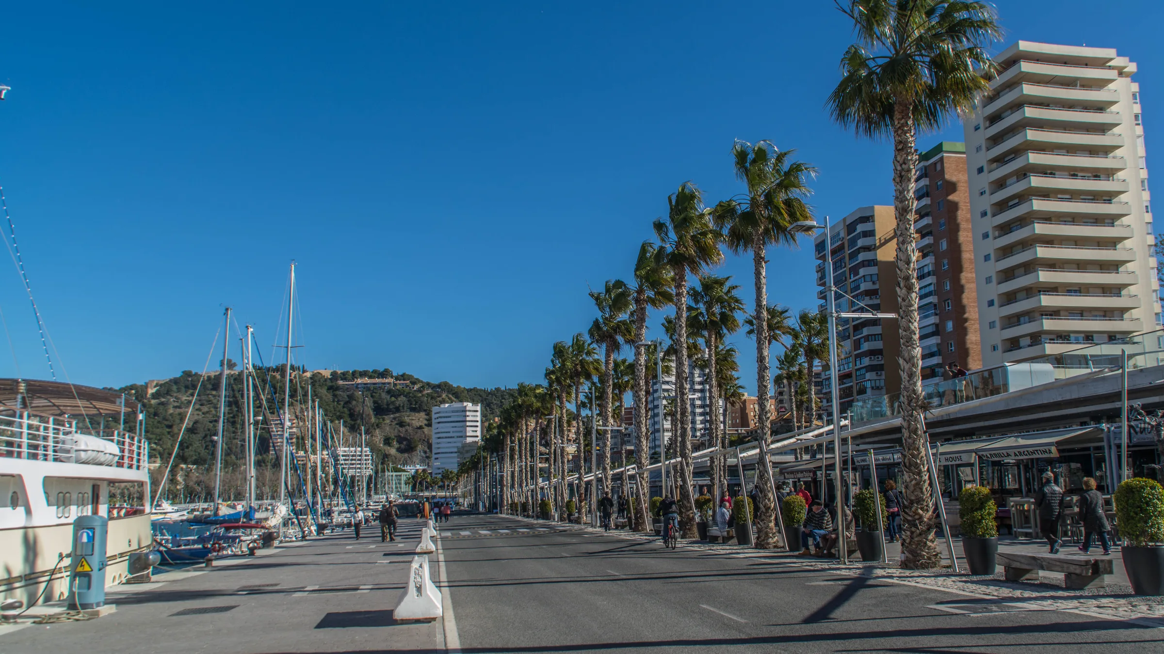 A palm-lined promenade beside the marina at the Port of Málaga on a bright blue day.