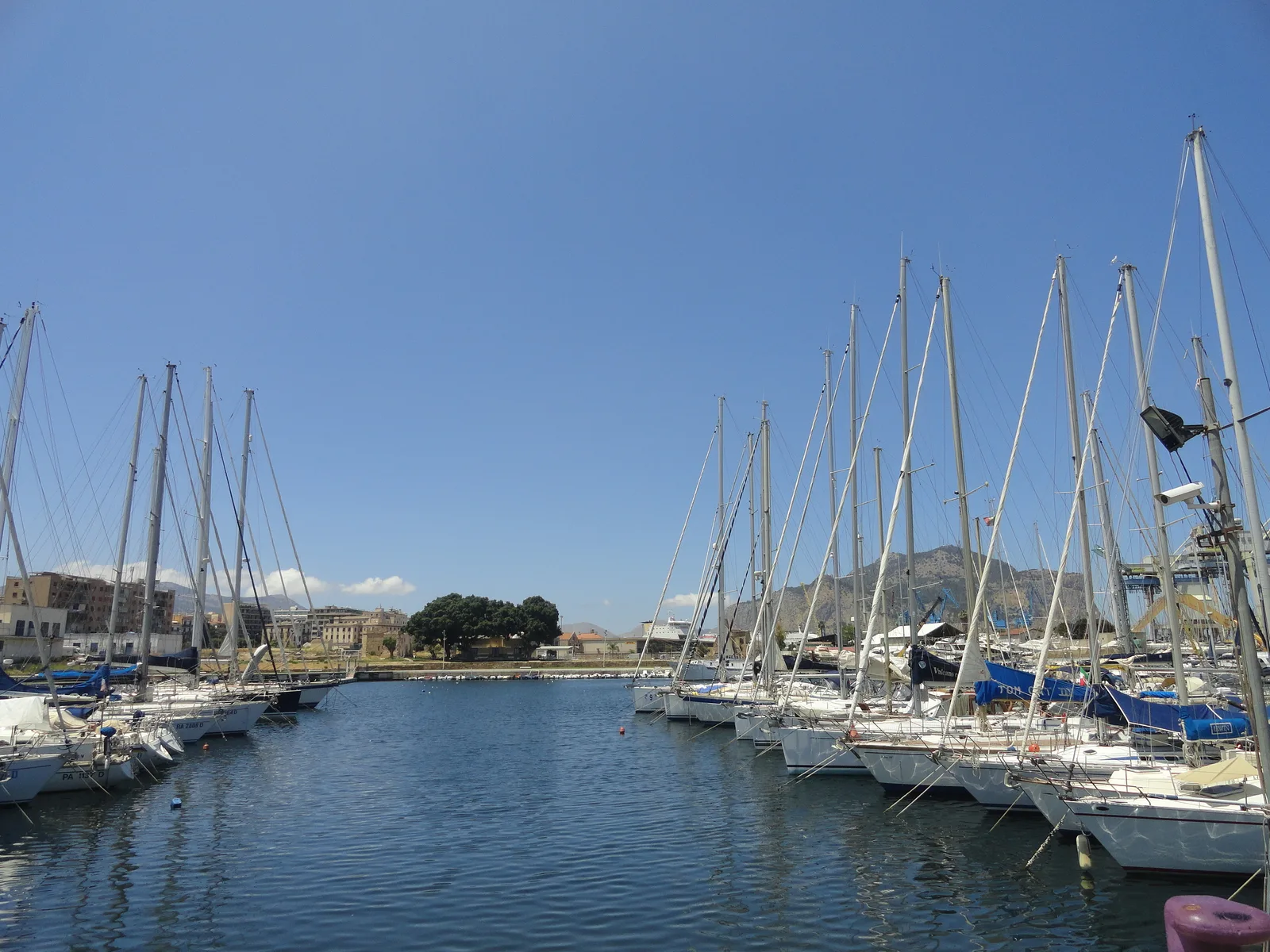 Yachts moored in the La Cala harbour at Palermo on a clear day, with the mountain behind.