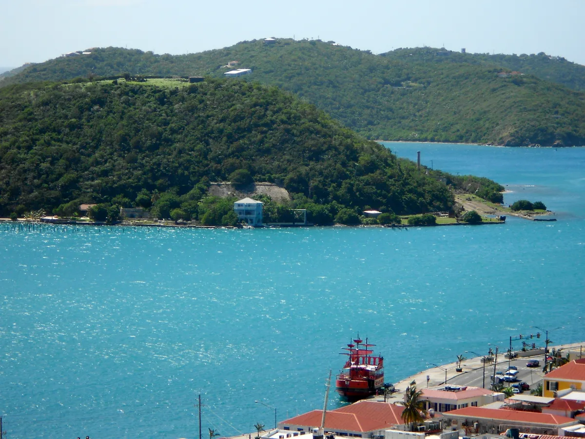 A steep green wooded hillside on Hassel Island across blue harbour water, with tugs and red roofs along the shore.