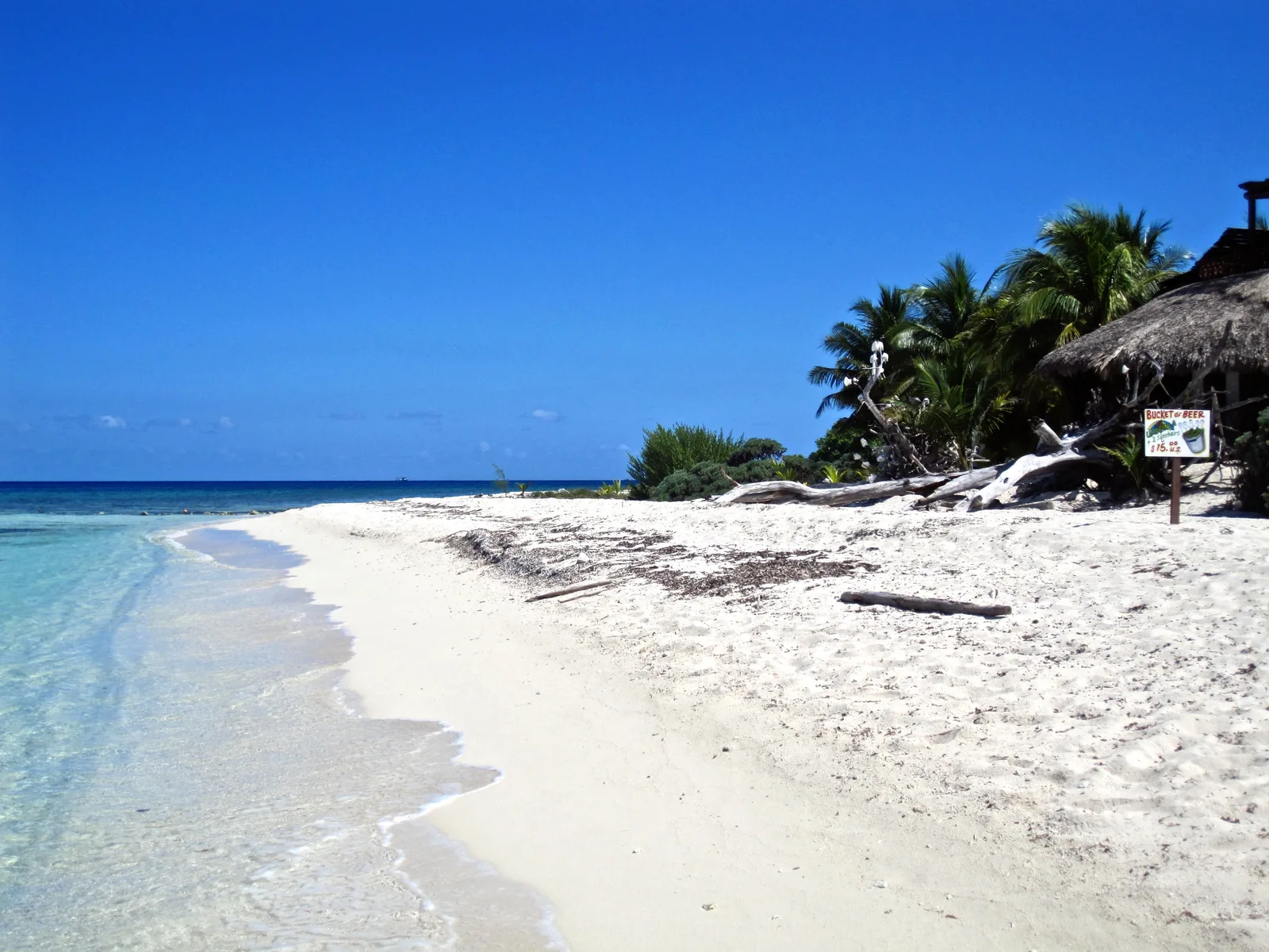A sweep of pale sand and clear shallow water beside palms and a thatched hut on a Cozumel beach.